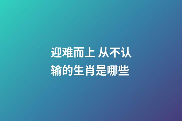 迎难而上 从不认输的生肖是哪些